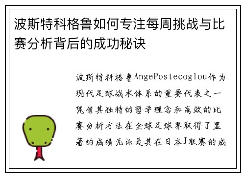 波斯特科格鲁如何专注每周挑战与比赛分析背后的成功秘诀