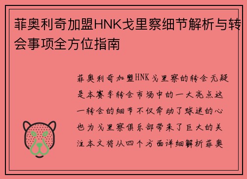 菲奥利奇加盟HNK戈里察细节解析与转会事项全方位指南